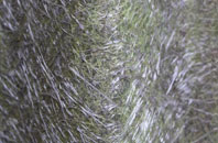 Harmans Cross fibreglass roof work